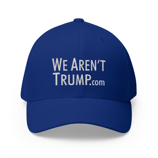 Anti-MAGA hat
